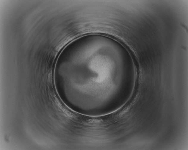 X0000100951513200806241451