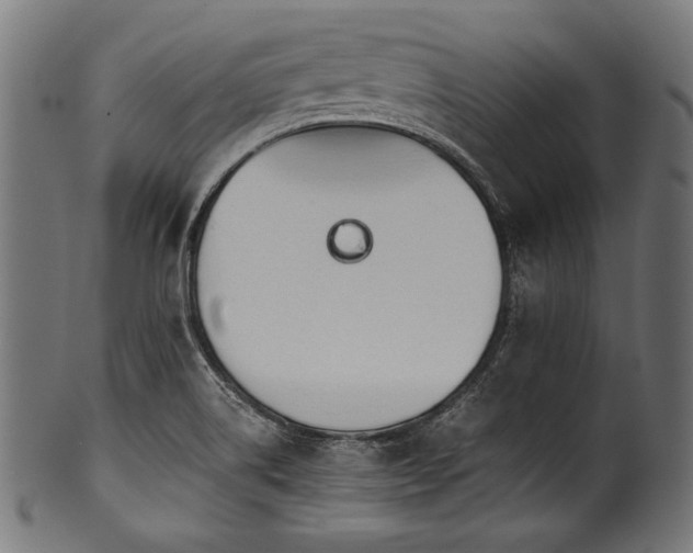 X0000100951514200806241451