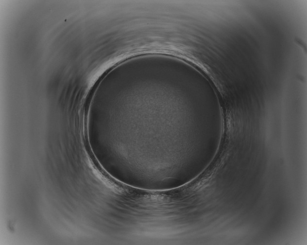 X0000100951515200806241451
