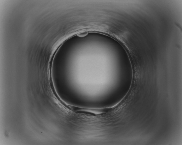X0000100951516200806241451