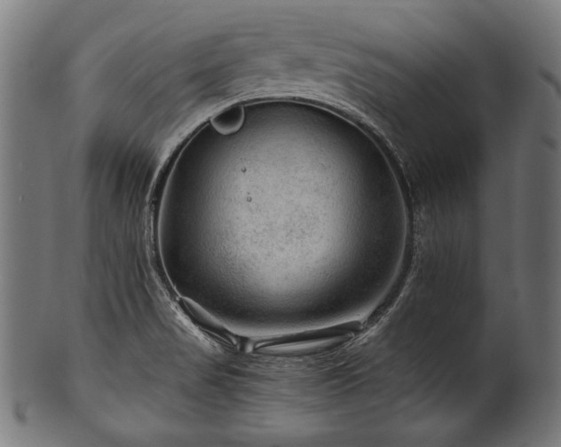 X0000100951517200806241451
