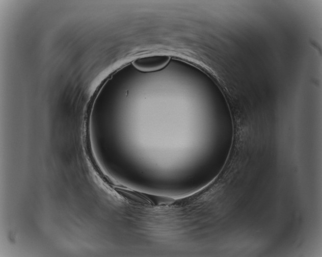 X0000100951518200806241451