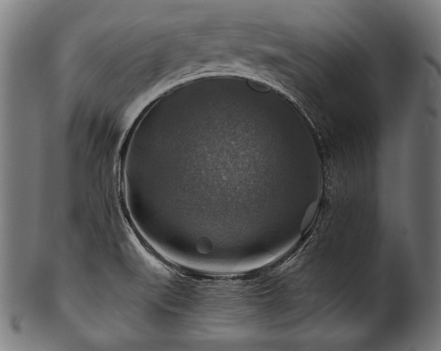 X0000100951519200806241451