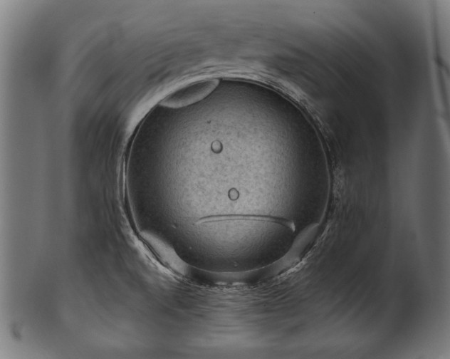 X0000100951520200806241451