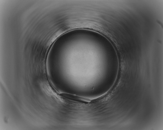 X0000100951521200806241451