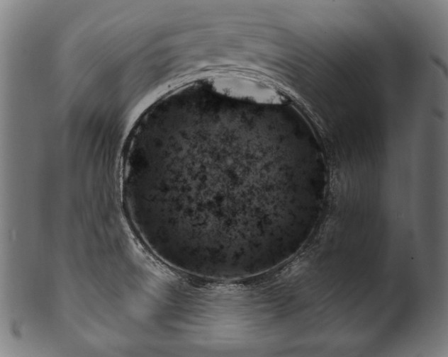 X0000100951522200806241451