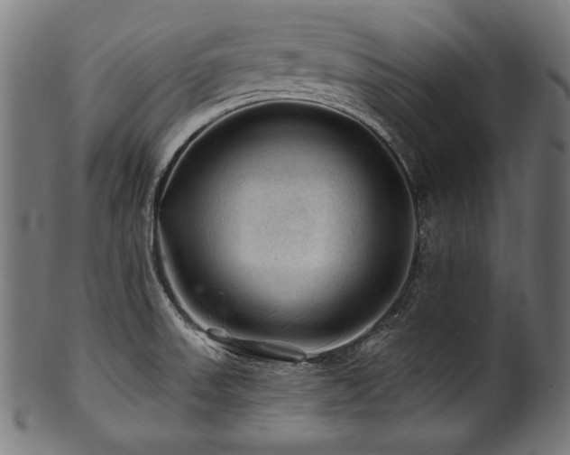 X0000100951523200806241451