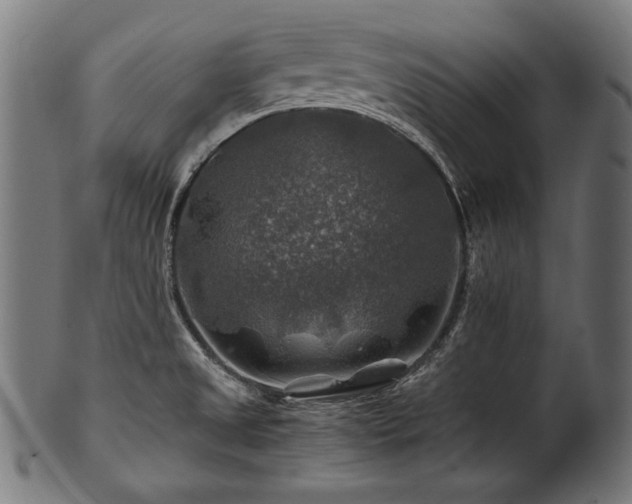 X0000100951525200806241451