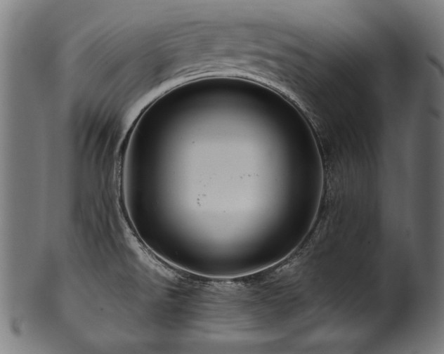 X0000100951526200806241451