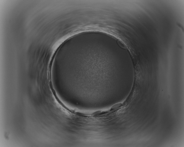 X0000100951527200806241451