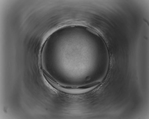 X0000100951528200806241451
