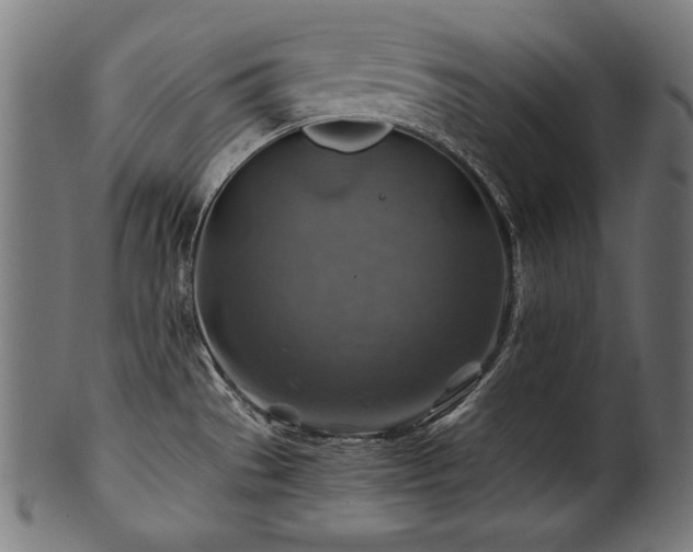 X0000100951529200806241451
