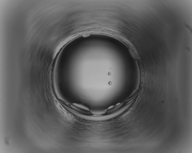 X0000100951530200806241451