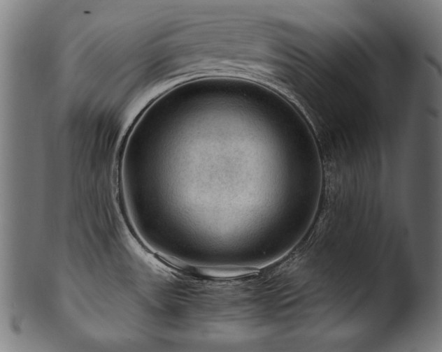 X0000100951531200806241451