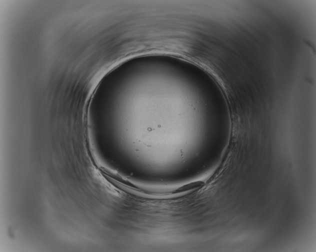 X0000100951532200806241451