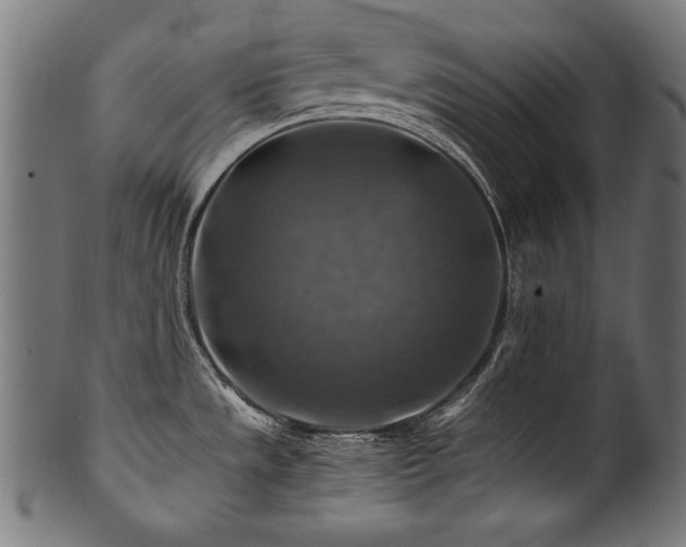 X0000100951533200806241451