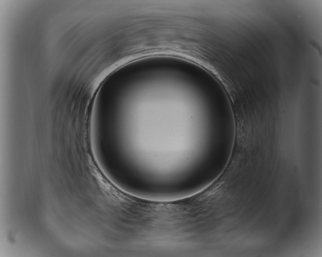 X0000100951534200806241451
