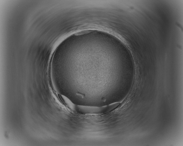 X0000100951536200806241451