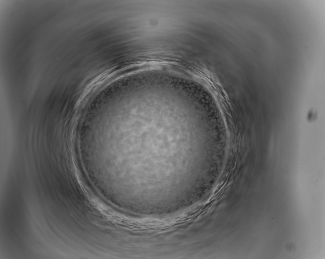 X0000100950001200807011319