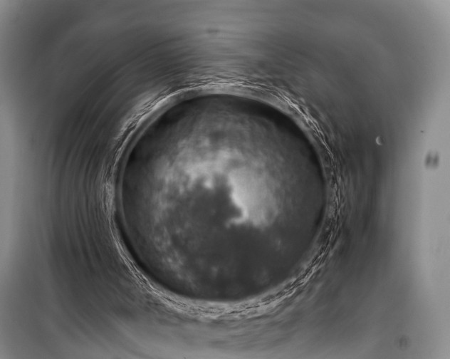 X0000100950002200807011319