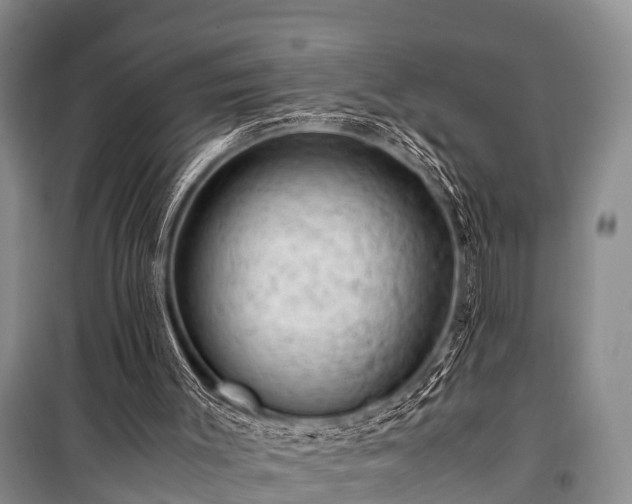 X0000100950003200807011319