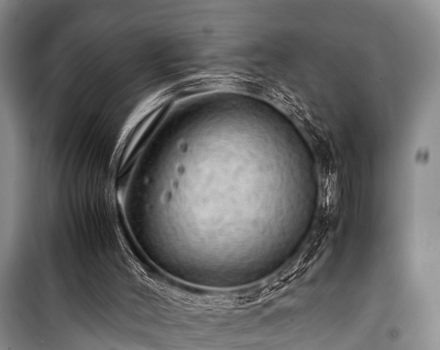 X0000100950004200807011319