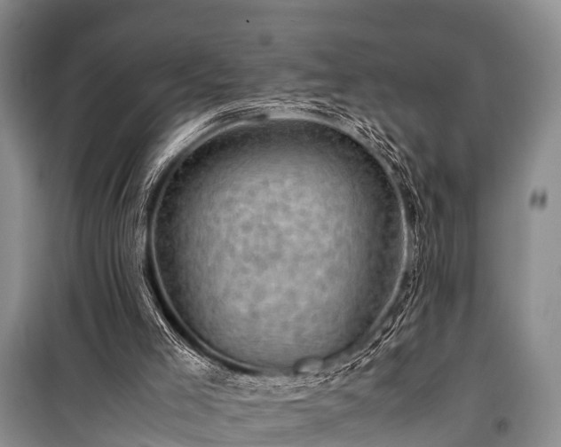 X0000100950005200807011319