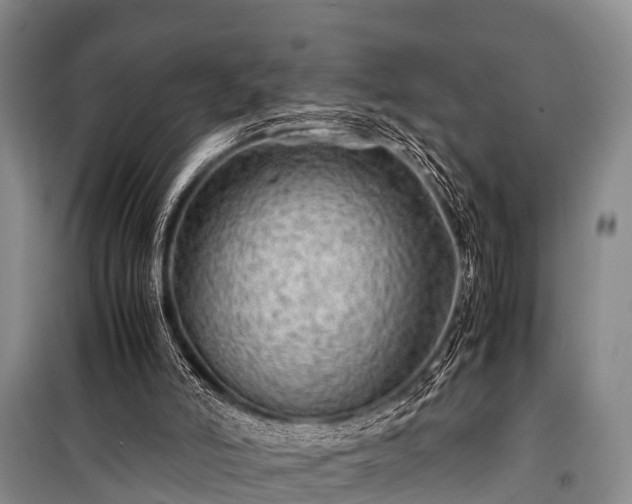 X0000100950006200807011319