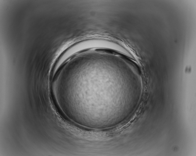X0000100950008200807011319