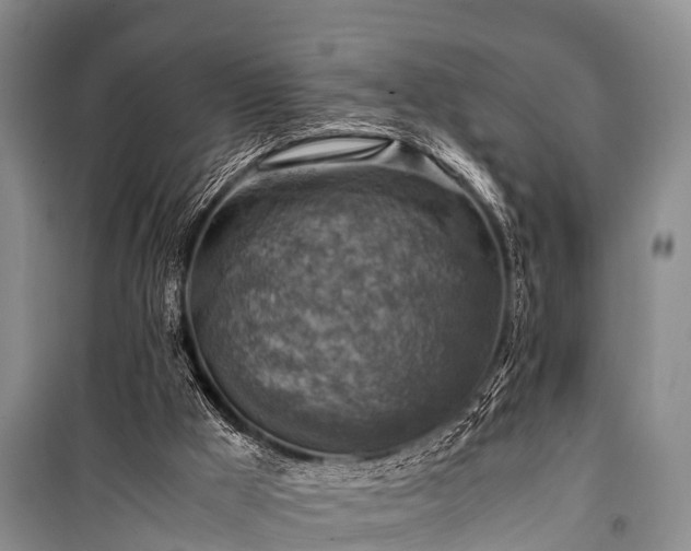 X0000100950009200807011319