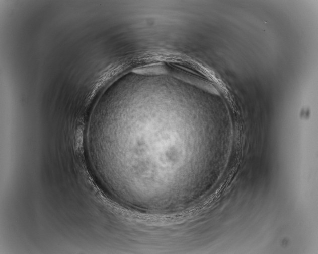 X0000100950010200807011319