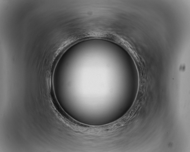 X0000100950011200807011319