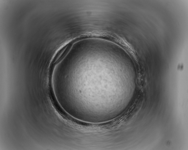 X0000100950012200807011319
