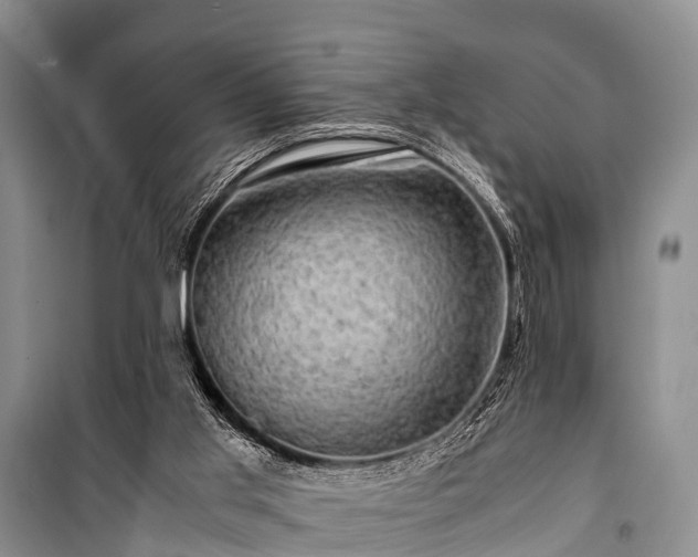 X0000100950013200807011319