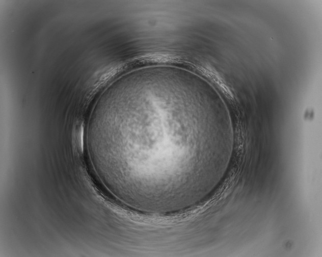 X0000100950014200807011319
