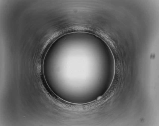 X0000100950015200807011319
