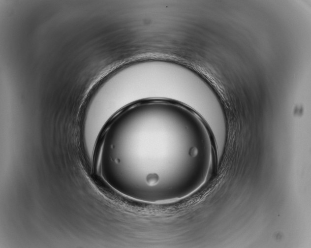 X0000100950016200807011319