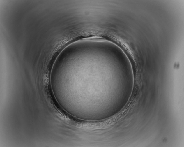 X0000100950017200807011319