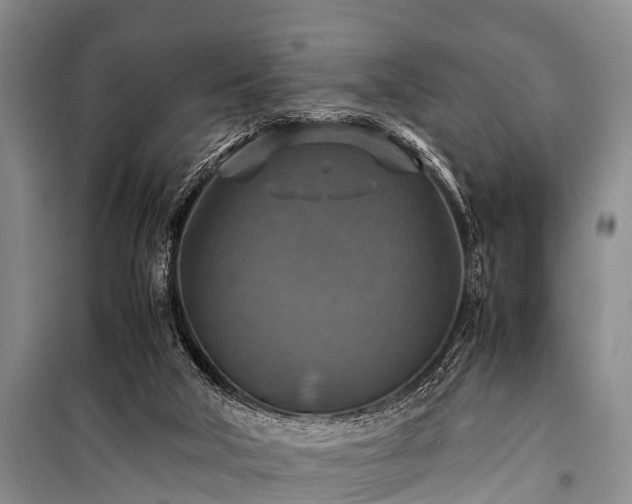 X0000100950018200807011319