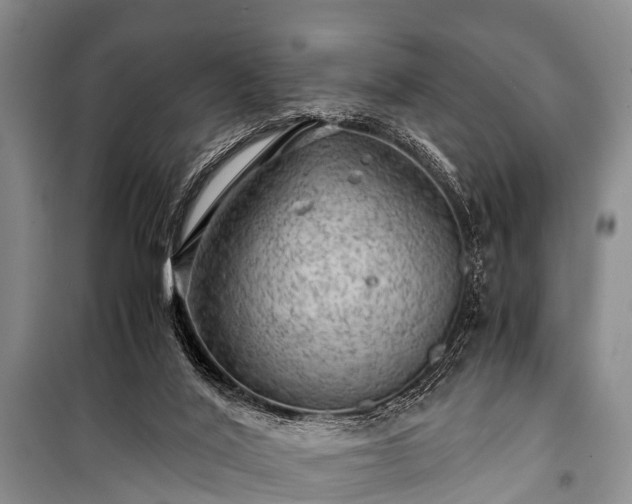 X0000100950020200807011319