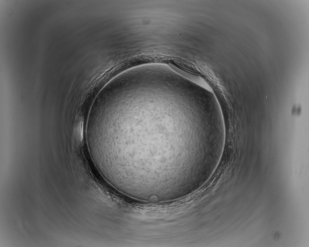 X0000100950021200807011319