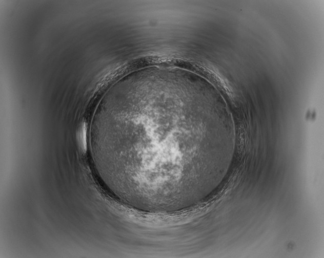 X0000100950022200807011319