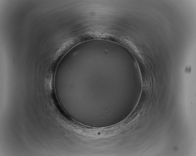 X0000100950023200807011319