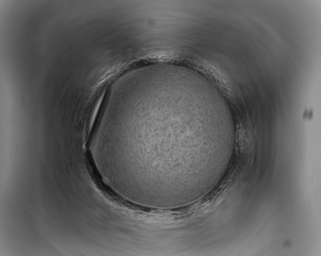 X0000100950024200807011319