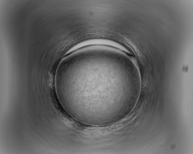 X0000100950025200807011319