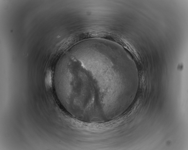 X0000100950026200807011319