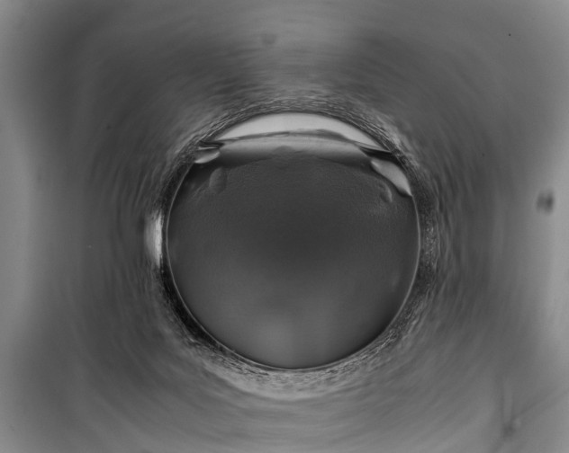 X0000100950027200807011319