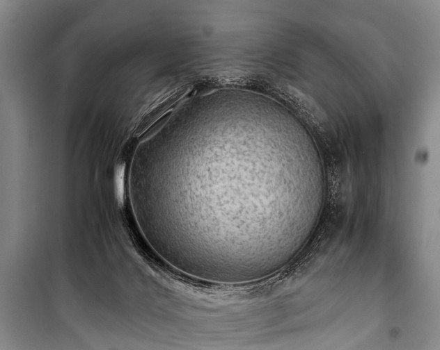 X0000100950028200807011319