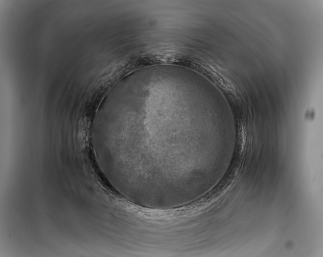 X0000100950030200807011319