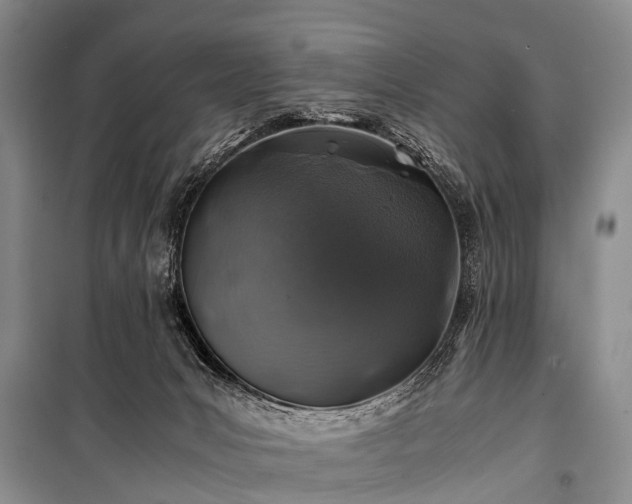 X0000100950031200807011319